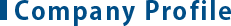 Company Profile